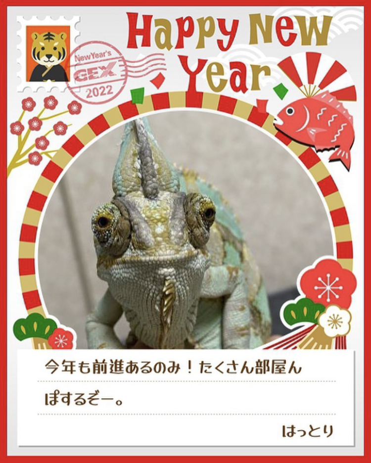 みんなのお正月画像