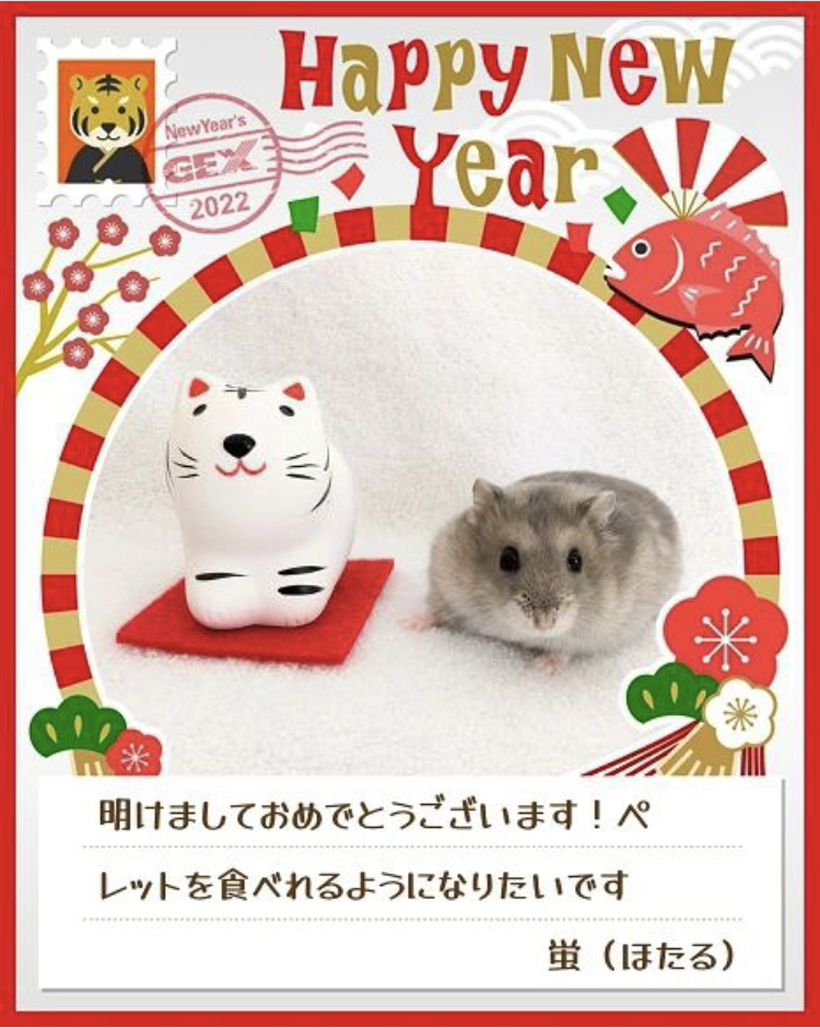 みんなのお正月画像