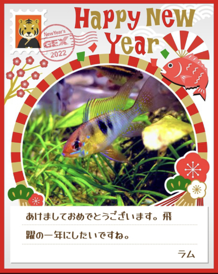 みんなのお正月画像