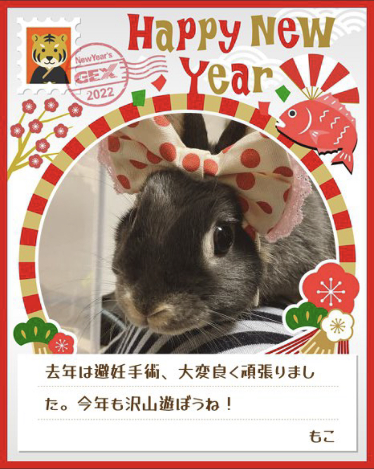 みんなのお正月画像