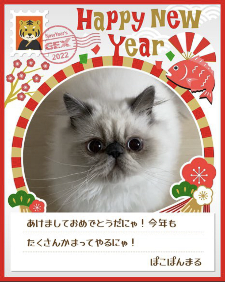 みんなのお正月画像