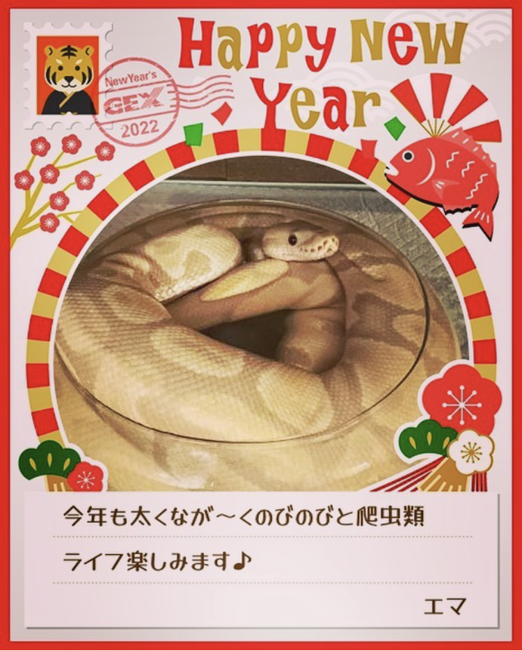 みんなのお正月画像