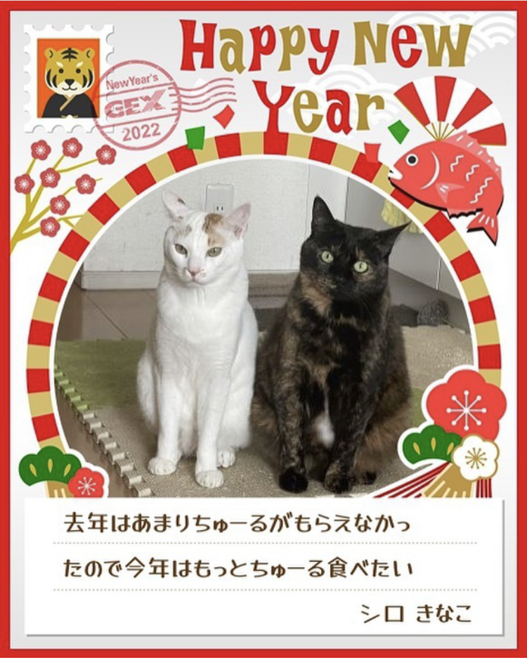 みんなのお正月画像