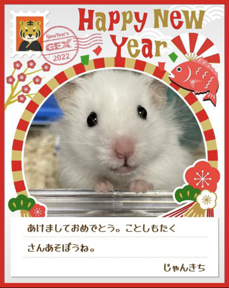 みんなのお正月画像