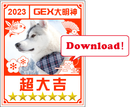 Downloadイメージ