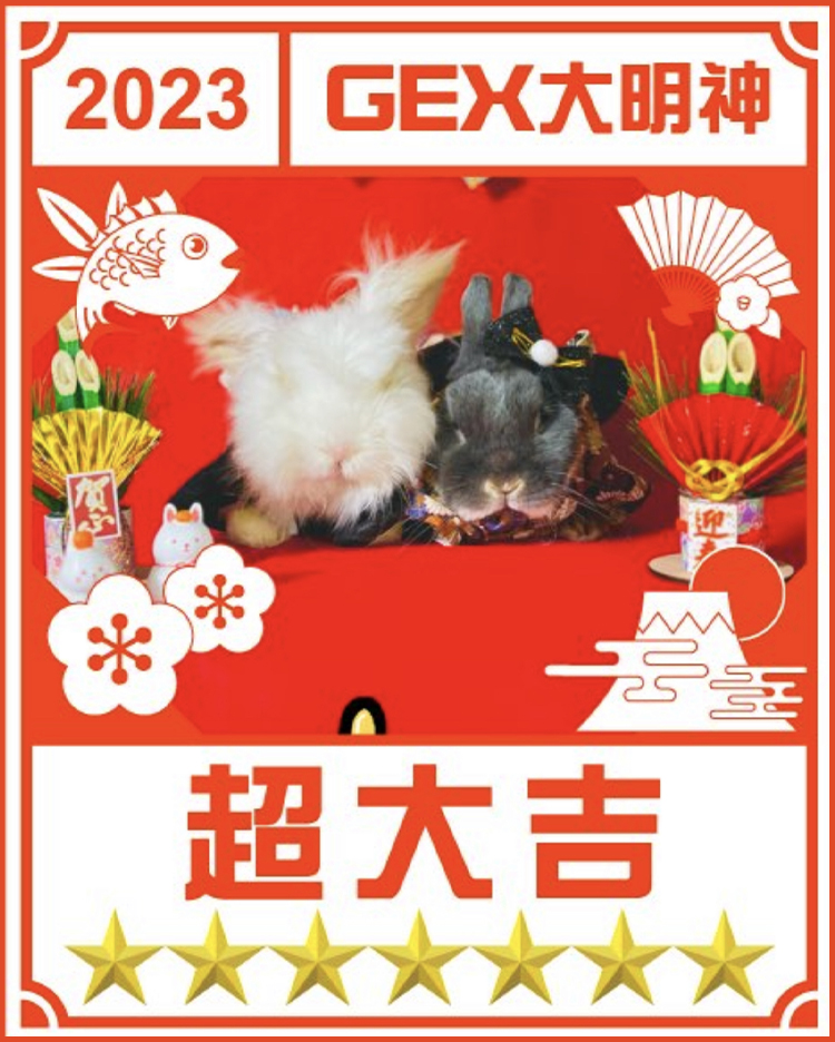 みんなのお正月画像
