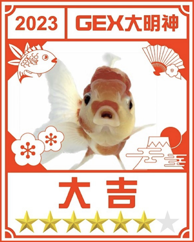 みんなのお正月画像