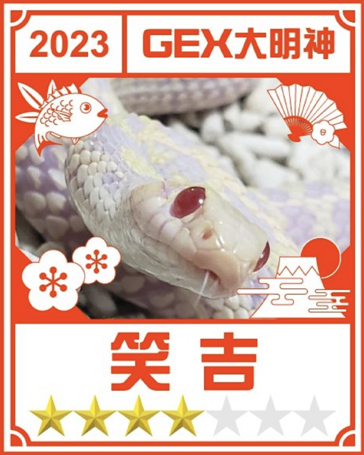 みんなのお正月画像