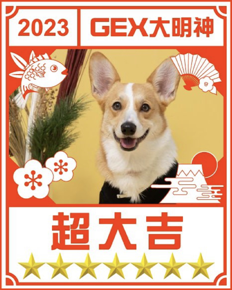 みんなのお正月画像