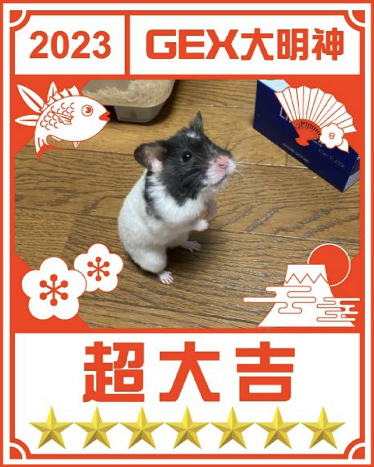 みんなのお正月画像