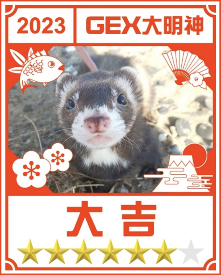 みんなのお正月画像