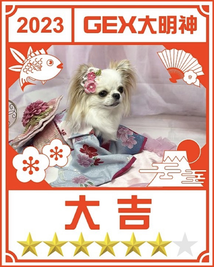 みんなのお正月画像