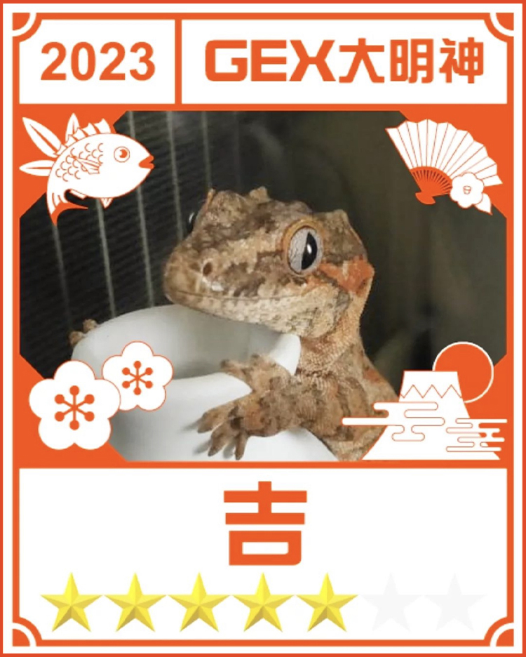 みんなのお正月画像
