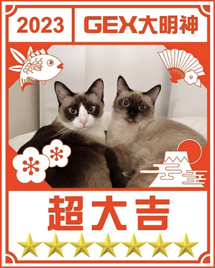 みんなのお正月画像