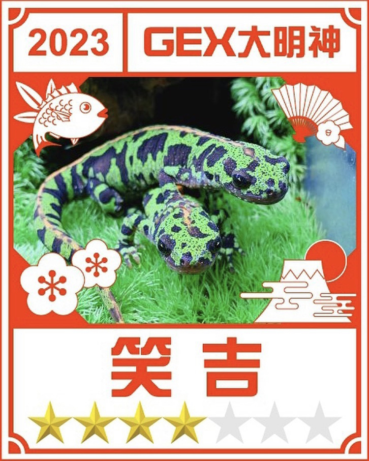 みんなのお正月画像