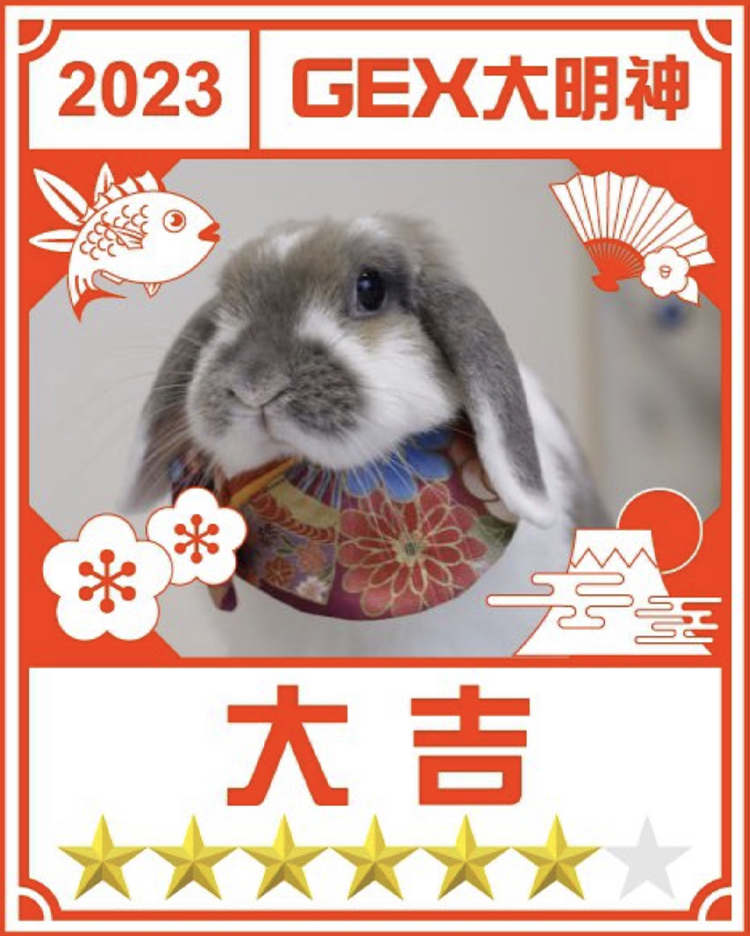 みんなのお正月画像