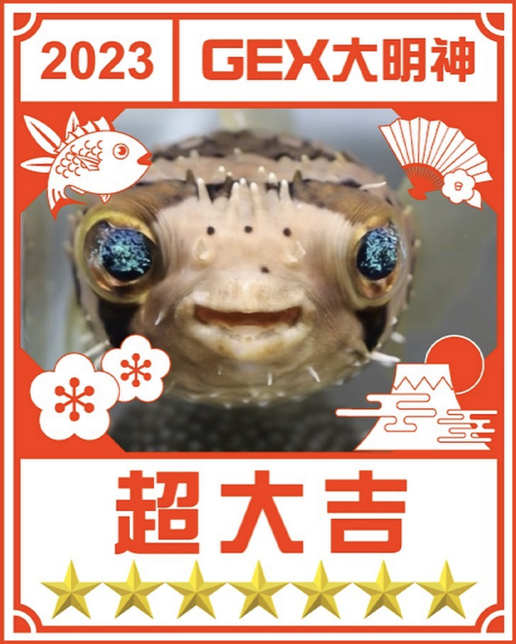 みんなのお正月画像