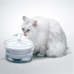 ピュアクリスタルグラッシー1.5L（猫用）