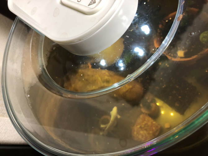 アクアリウム自慢：アーカイブ | 金魚・メダカ・熱帯魚用品の