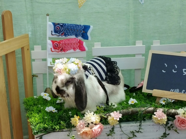 ここ