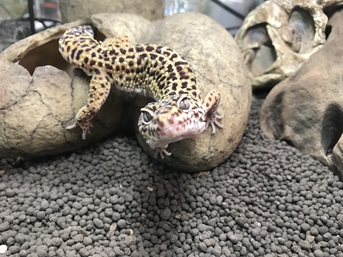 笑顔にご注目！