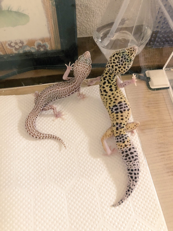 角が好き。