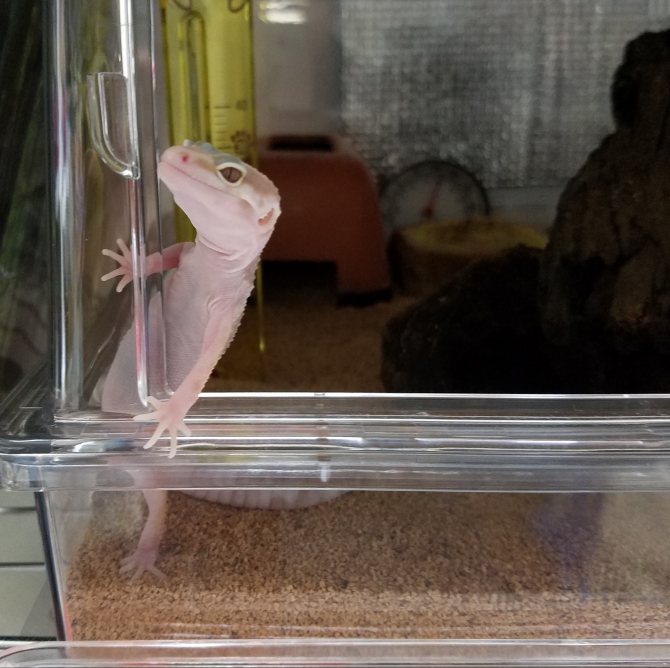 何かなぁ