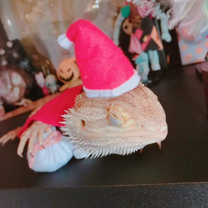 メリークリスマス