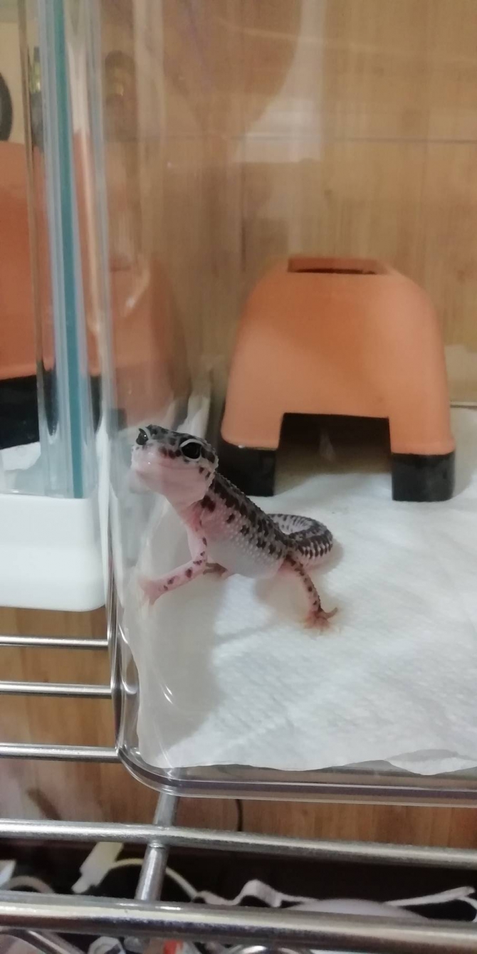 お出かけですかぁ？