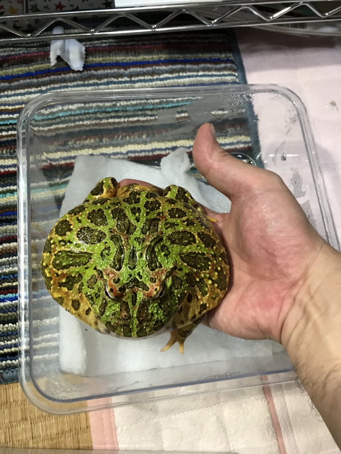 カルロスさん♩