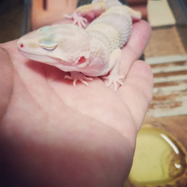 ひと休み