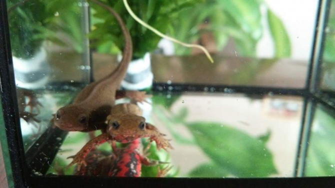 こんにちわ！
