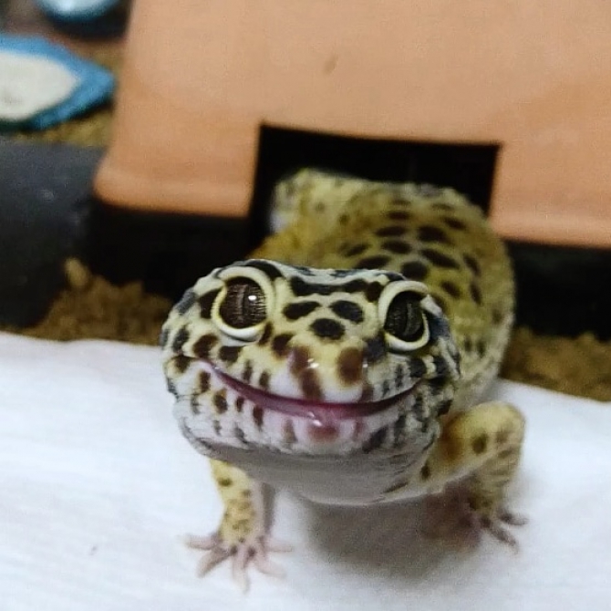 ご飯ちょうだい♪