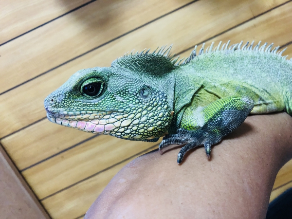 腕休み