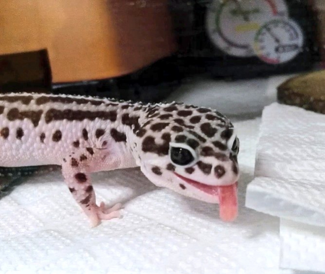 べ～