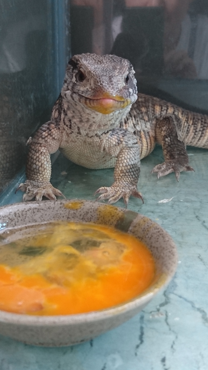 顔っ！！