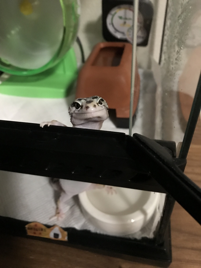外に出たい