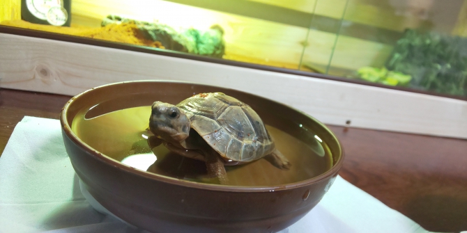 日課のお風呂は気持ちぃぃな！