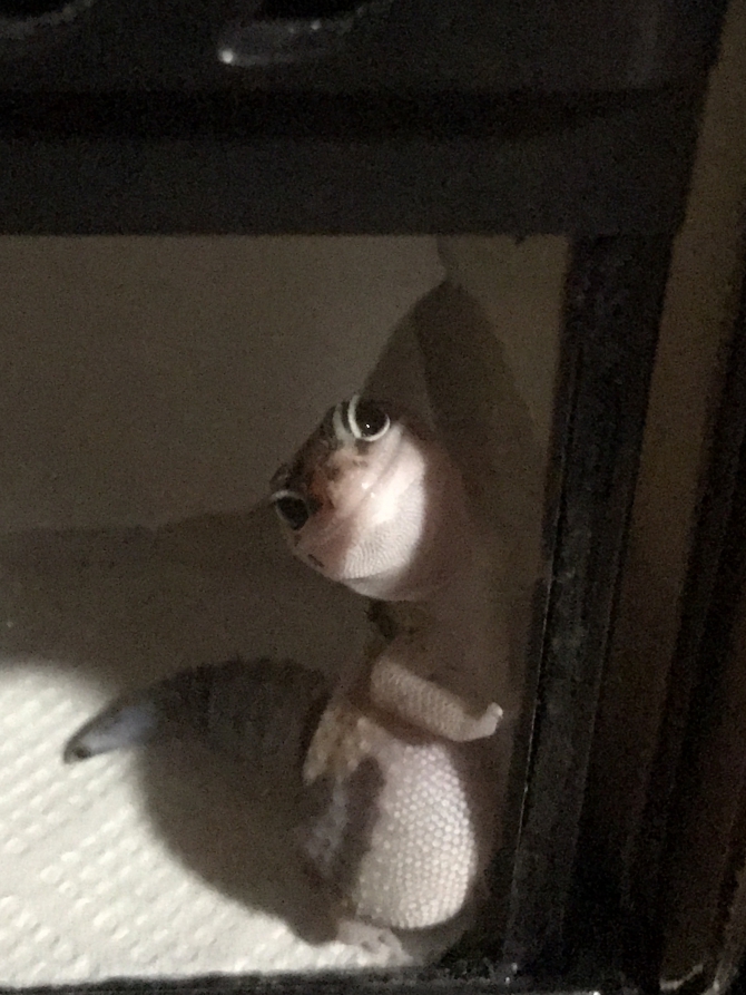 ん？