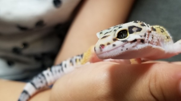 仲良し