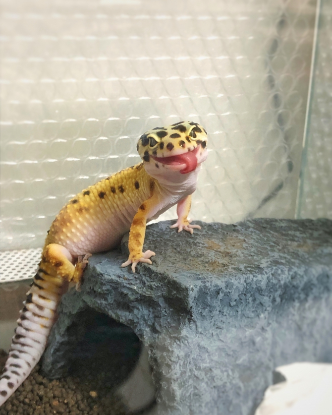 にっこり^ ^