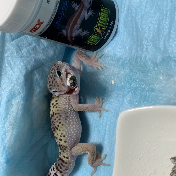 ご飯タイム