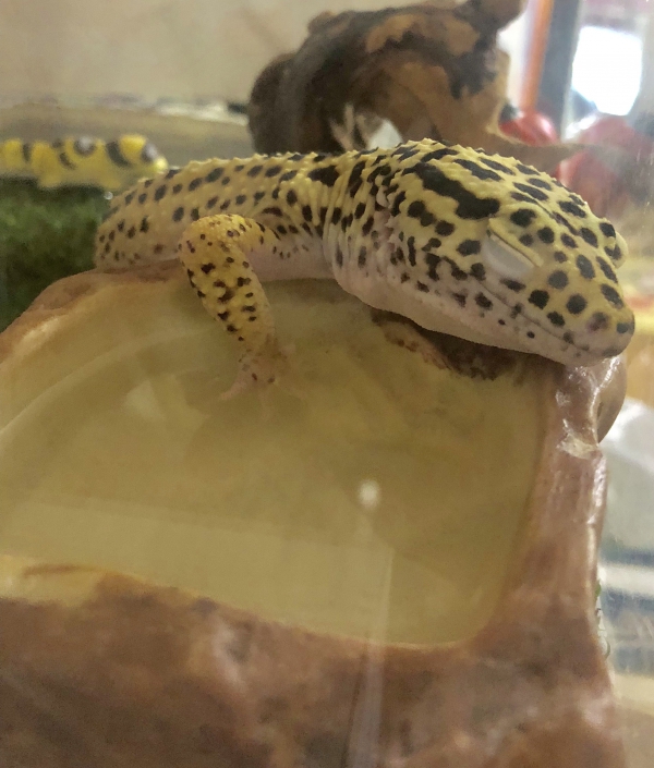 うとうと…