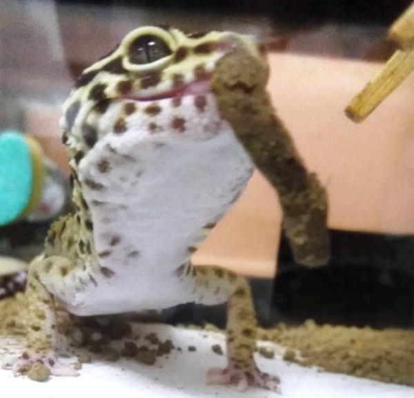 んまぁ♪