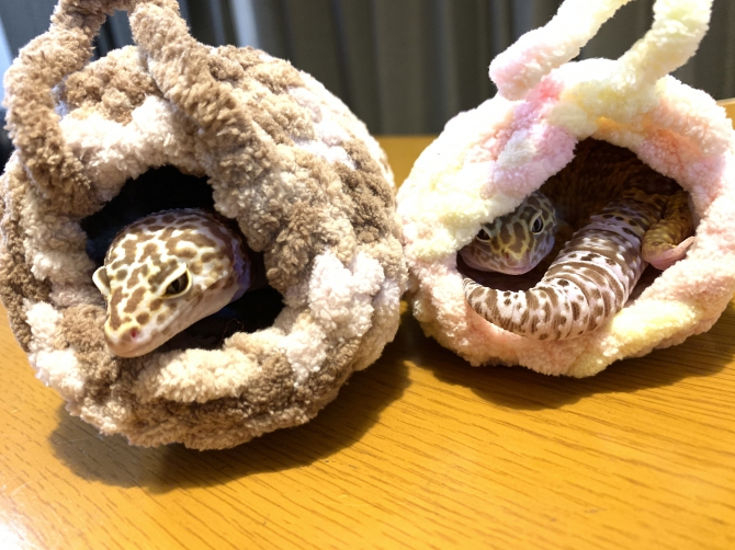 仲良しちぐら