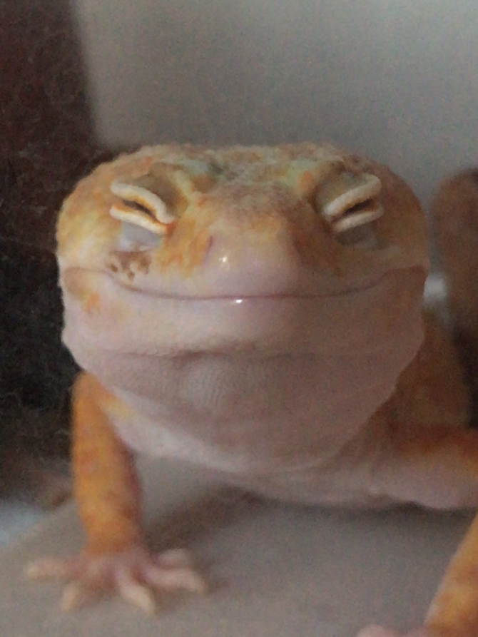 ご満悦