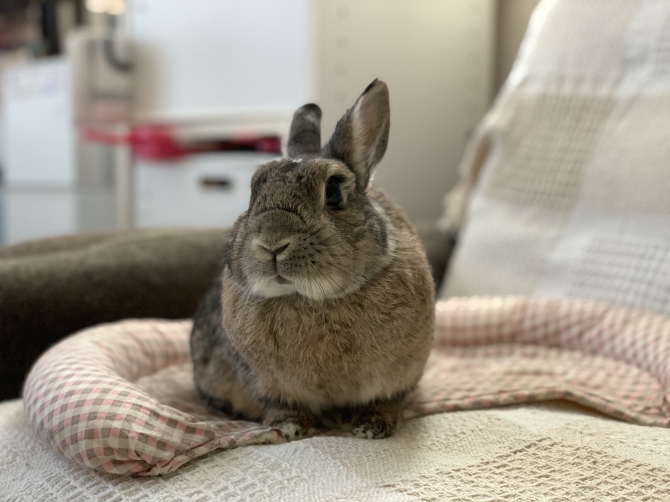 Small Animal Life ジェックス株式会社 Small Animal Life ジェックス株式会社