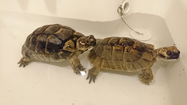 2人で温浴