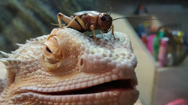 おともだち(^_^)