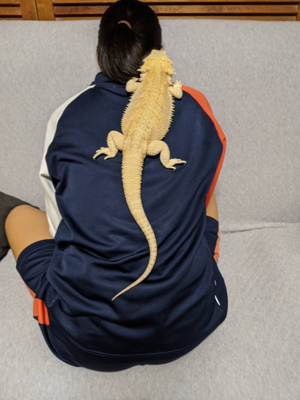背中がスキ